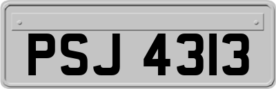 PSJ4313