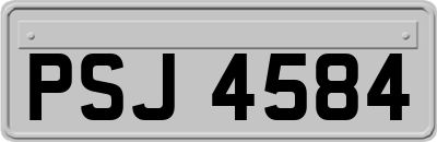 PSJ4584