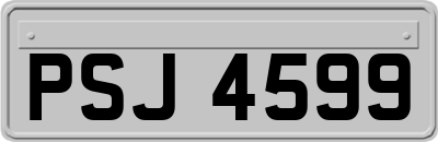 PSJ4599