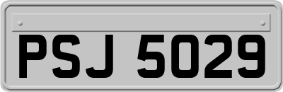 PSJ5029