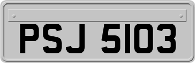PSJ5103