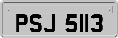PSJ5113