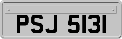 PSJ5131