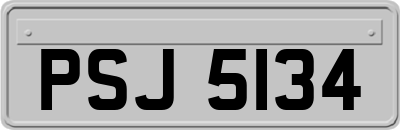 PSJ5134