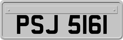 PSJ5161