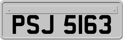 PSJ5163