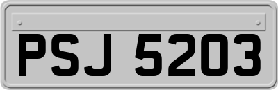 PSJ5203