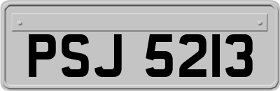 PSJ5213