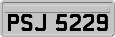PSJ5229