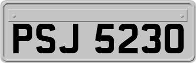 PSJ5230