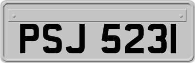 PSJ5231