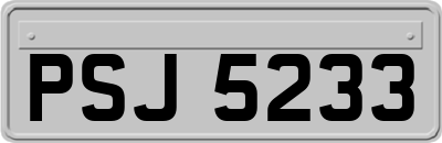 PSJ5233