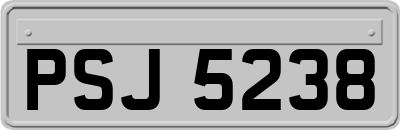 PSJ5238
