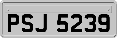 PSJ5239