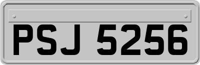 PSJ5256