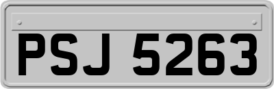 PSJ5263