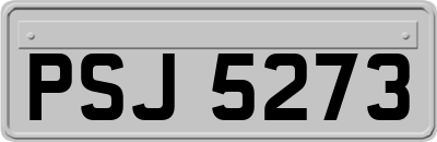 PSJ5273