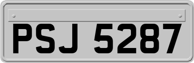 PSJ5287