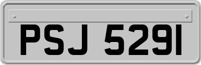 PSJ5291