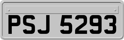 PSJ5293