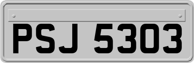 PSJ5303
