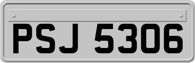 PSJ5306