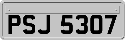 PSJ5307