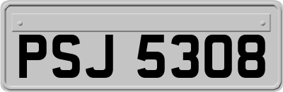 PSJ5308