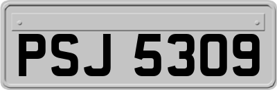PSJ5309
