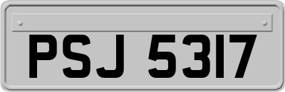 PSJ5317