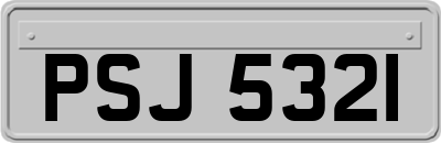 PSJ5321