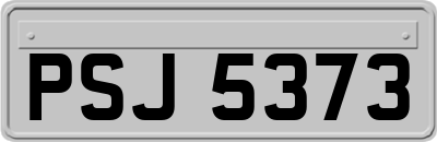 PSJ5373