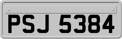 PSJ5384