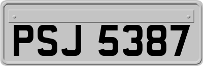 PSJ5387