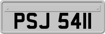 PSJ5411