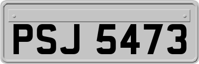 PSJ5473
