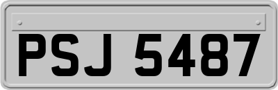 PSJ5487