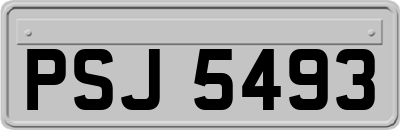 PSJ5493