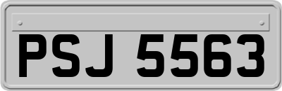 PSJ5563