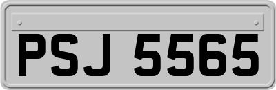 PSJ5565
