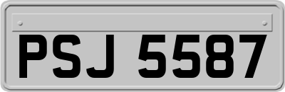 PSJ5587