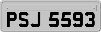 PSJ5593