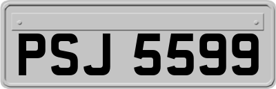 PSJ5599