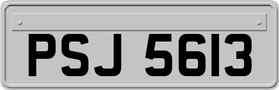 PSJ5613