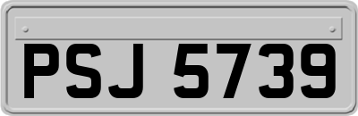 PSJ5739