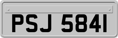 PSJ5841