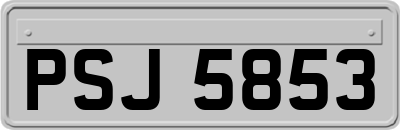 PSJ5853