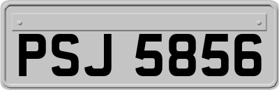 PSJ5856