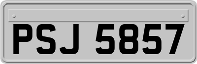 PSJ5857