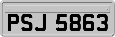 PSJ5863